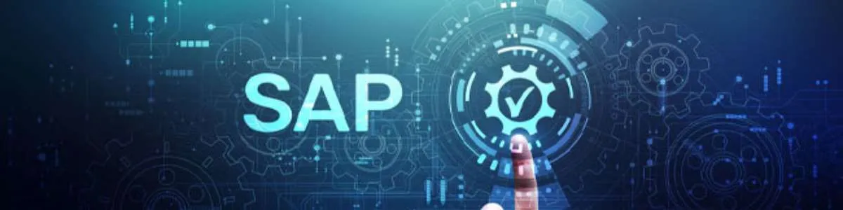 Outsourced Accounting with SAP