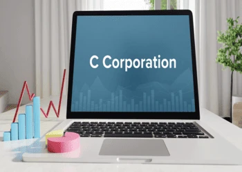 Navigating the Complexities of C Corp Taxes: How Professional Services Make a Difference