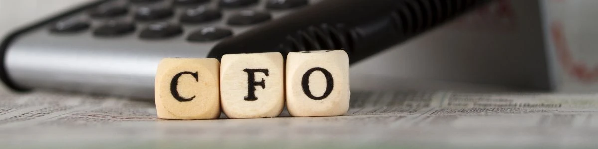 Virtual CFO