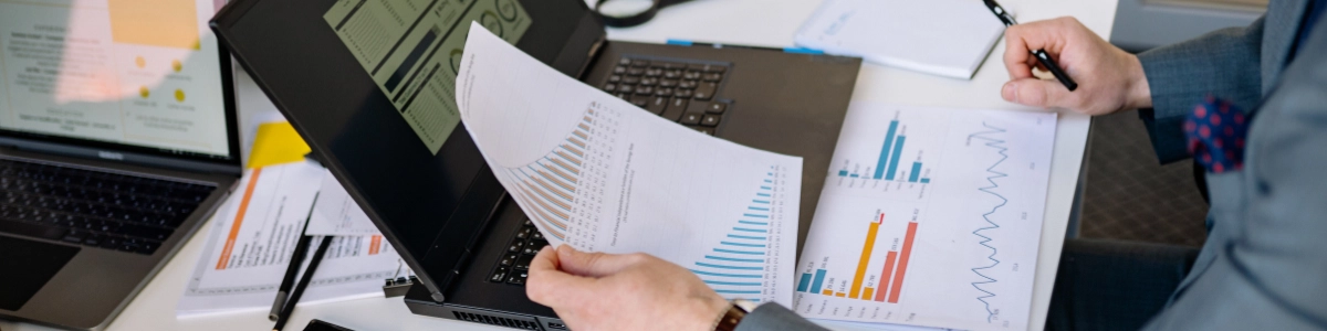 Outsourced Audit Support