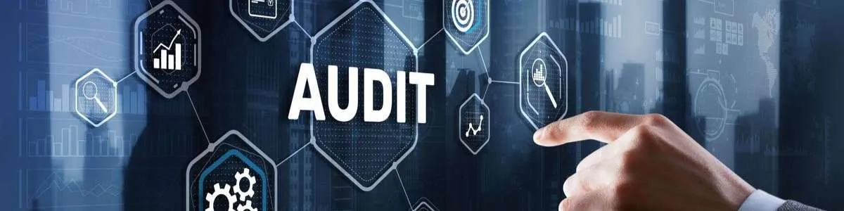 outsourced audit support services